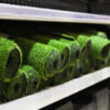 Artificial Grass - Image 5